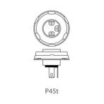 ProPlus Duplolamp - 12V - 45/40W - P45T - Groot licht en..., Ophalen of Verzenden, Nieuw