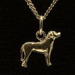 Gouden Zwitserse Sennenhond ketting hanger - klein, Verzenden, Nieuw