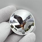 Congo. 20 Francs 2024 – Peregrine Falcon (Wanderfalke) – 1