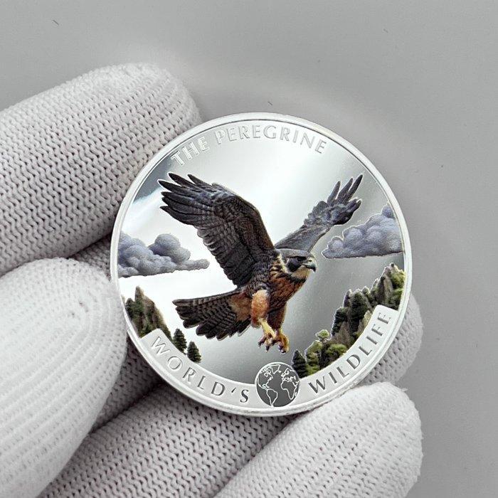 Congo. 20 Francs 2024 – Peregrine Falcon (Wanderfalke) – 1, Postzegels en Munten, Munten | Europa | Niet-Euromunten