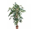 Mica Decorations Ficus Kunstplant - H110 x Ø65 cm - Groen, Huis en Inrichting, Kamerplanten, Verzenden