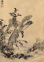 Vogels - Bairei hyakuch gafu - 1880 - Papier - Kono Bairei