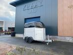 BOCKMANN CHAMPION UNO C 1.600 KG 1.5 PAARDS ALL - IN AKTIE!, Ophalen, Nieuw, Aluminium, 1½-paards trailer