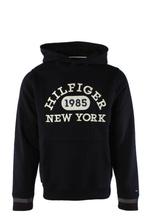Tommy Hilfiger sweater maat S, Kleding | Heren, Truien en Vesten, Tommy Hilfiger, Nieuw, Maat 46 (S) of kleiner, Verzenden
