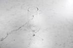 Celebrate the New Year with Maarten Baptist’s Champagne