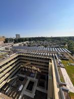 Zonnepanelen Plaatsen | Professioneel en Betrouwbaar, Nieuw