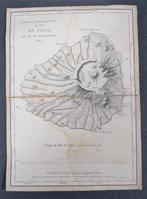 Kaapverdië - Ile de Fogo; Charles Sainte-Claire Deville, Nieuw