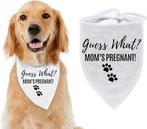 Zwangerschap aankondiging bandana Guess What? Moms Pregnant, Verzenden, Nieuw, Versiering, Geboorte of Huwelijk