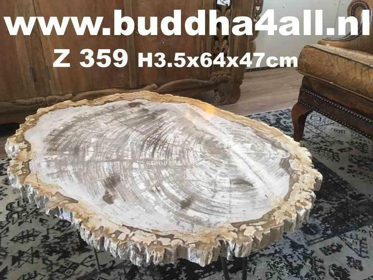 Versteend hout salontafel miljoenen jaar oud! Zeer exclusief, Huis en Inrichting, Tafels | Salontafels, 50 tot 100 cm, Overige vormen