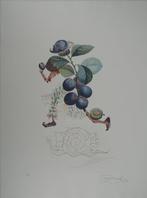 Salvador Dali (1904-1989) - Flordali, les Fruits : Prunier