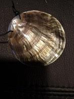 Gepolijst nautilus schelp met gaatje voor hanger of, Ophalen of Verzenden, Nieuw