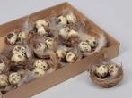 Vogelnestjes met 2 kwarteleitjes en veertjes 7 cm doos 12, Ophalen of Verzenden, Nieuw