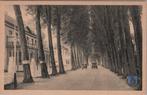 NUNSPEET - Laan bij Hotel Ittmann, Verzamelen, Verzenden, Gelopen