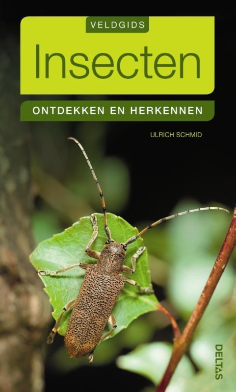 Insecten / Veldgids 9789044732047 Ulrich Schmid, Boeken, Hobby en Vrije tijd, Gelezen, Verzenden