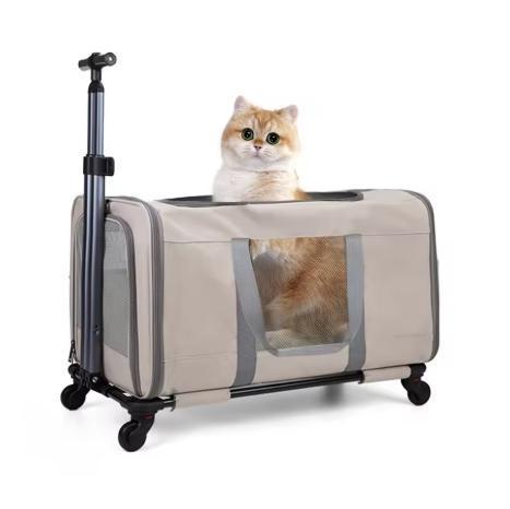 Kattenwagen met Wielen – Grote Transporttas voor 2 Katten, Dieren en Toebehoren, Katten-accessoires, Nieuw, Verzenden