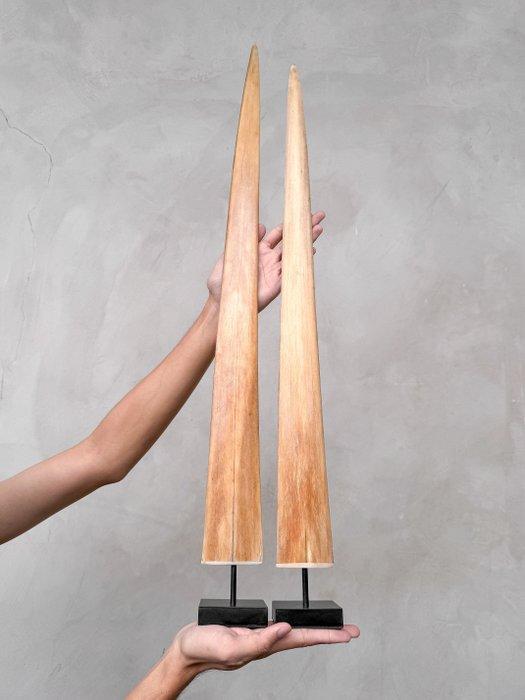 Geen reserveprijs - Indrukwekkend paar zwaardvisrostrums op, Antiek en Kunst, Kunst | Designobjecten