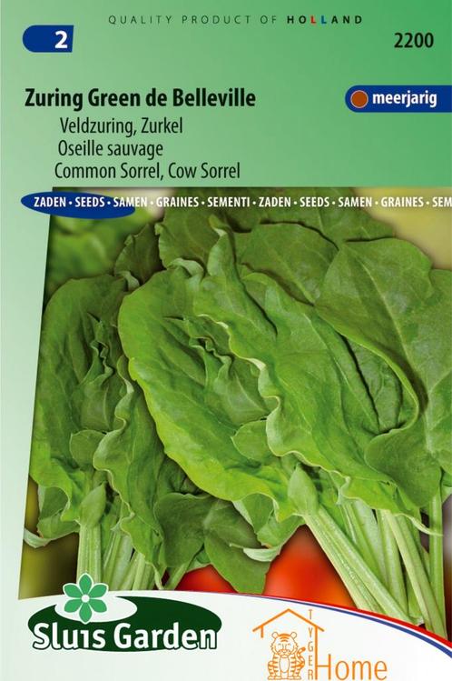 Zuring Green de Belleville Zaden - Meerjarige Veldzuring, Tuin en Terras, Bloembollen en Zaden, Verzenden