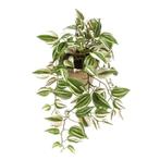 Groene Tradescantia/vaderplant kunstplant 50 cm in pot - O.., Huis en Inrichting, Kamerplanten, Ophalen of Verzenden