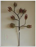 Magnolia Rusty Groen Foam Zijdenbloem x8 70 cm, Ophalen of Verzenden, Nieuw