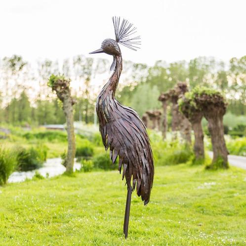 Mooievogels.nl -  Kroonkraanvogels, Dieren en Toebehoren, Vogels | Overige Vogels, Tropenvogel, Geslacht onbekend