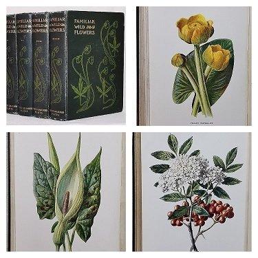 F. Edward Hulme - Familiar Wild Flowers (Complete 8 Series, Antiek en Kunst, Antiek | Boeken en Bijbels
