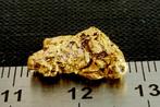 Goud Inheems, Nugget van Suriname of Frans-Guyana, Nieuw