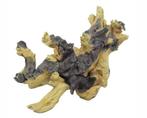 Savanna root 2 / Aquariumdecoratie As-0022, Dieren en Toebehoren, Verzenden, Nieuw