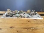 Tamiya - Speelgoed voertuig Duitse Afrika corps in de, Nieuw