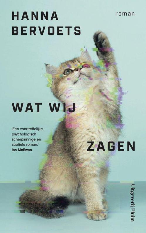 9789493339071 Wat wij zagen | Tweedehands, Boeken, Romans, Zo goed als nieuw, Verzenden
