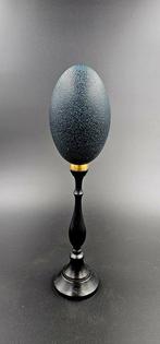 Emoe Ei - Dromaius novaehollandiae - 380 mm - 90 mm - 90 mm-