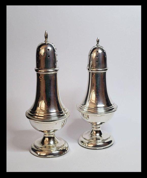 2 Prachtige Peper en Zout strooiers Zilversmid Pleyt & de, Antiek en Kunst, Antiek | Goud en Zilver