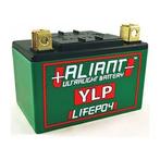Aliant Ylp05B Lithium Accu, Verzenden