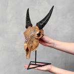Geen minimale biedprijs - Authentieke handgehakte bruine, Antiek en Kunst, Curiosa en Brocante