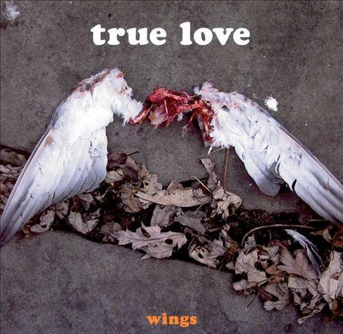 cd - True Love  - Wings, Cd's en Dvd's, Cd's | Overige Cd's, Zo goed als nieuw, Verzenden