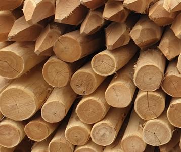 Robinia palen,  10/12 cm --- 200 / 250 / 300 cm beschikbaar voor biedingen