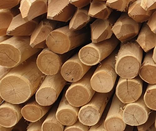 Robinia palen,  10/12 cm --- 200 / 250 / 300 cm, Doe-het-zelf en Verbouw, Hout en Planken, 250 tot 300 cm, Nieuw, 50 mm of meer