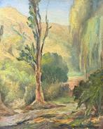 Leda Ponce De Navarro Oconnor (XX) - Eucalipto, Antiek en Kunst, Kunst | Schilderijen | Klassiek