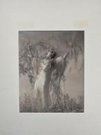 Edward Steichen (1879 - 1973) - Lillian Gish as Ophelia,