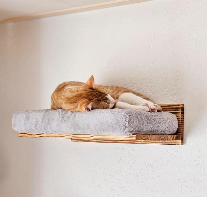 Wandligbed voor Katten Klimmuur | 2 kleuren | Massief hout, Dieren en Toebehoren, Kattenmanden, Nieuw, Pluche, Verzenden