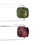 Alexandriet - 1.11 ct - nternational Colored Gemstone, Sieraden, Tassen en Uiterlijk, Edelstenen, Nieuw