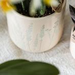 Kolibri Orchids | Gele orchidee Mexico + Floral sierpot lich, Verzenden