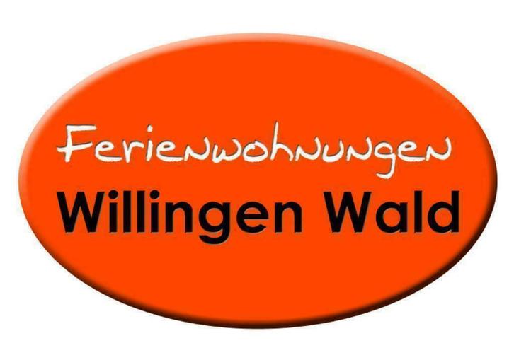 Gelegen op een toplocatie in SAUERLAND WILLINGEN, WINTERBERG, Vakantie, Vakantie | Sportief en Actief