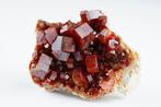 TOP - VANADINITE ( dieprode kleur ) top verzamelaar bicolor