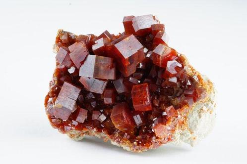 TOP - VANADINITE ( dieprode kleur ) top verzamelaar bicolor, Verzamelen, Mineralen en Fossielen