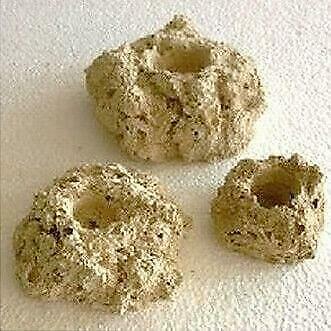 Rifkeramiek Aflegsteen - 100st., Dieren en Toebehoren, Vissen | Aquaria en Toebehoren, Ophalen of Verzenden