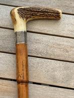 Wandelstok (3) - met hertshoorn handgrepen, Antiek en Kunst