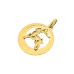 Gouden sterrenbeeld hanger; Steenbok (kettinghanger), Ophalen of Verzenden, Gebruikt, Goud, Overige merken