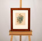 Albertus Steenbergen (1814-1900) - Herfstboeket, Antiek en Kunst, Kunst | Schilderijen | Klassiek