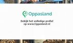 Kevin zoekt een oppas in Arnhem voor 1 kind op vrijdag, z...