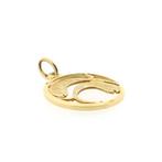 Gouden sterrenbeeld hanger; Vissen (ketting hanger), Ophalen of Verzenden, Gebruikt, Goud, Overige merken